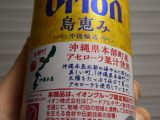 orion 島恵み